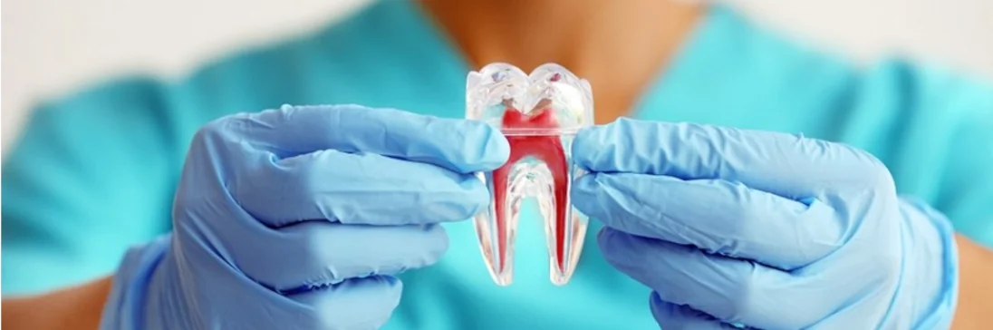 Cirurgião dentista segurando uma protese