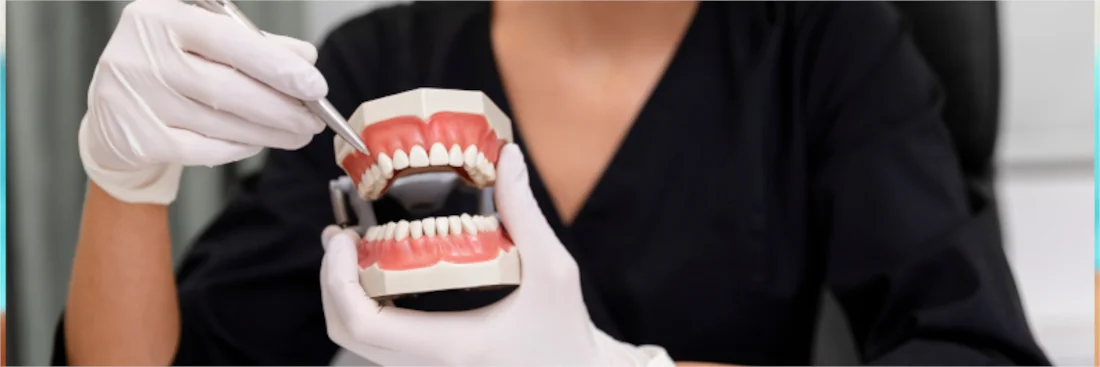 Cirurgião dentista segurando uma protese